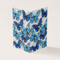 Samenstelling van witte en blauwe vlinders