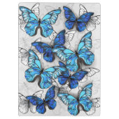 Samenstelling van witte en blauwe vlinders klembord (Achterkant)