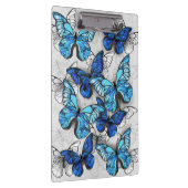 Samenstelling van witte en blauwe vlinders klembord (Rechts)