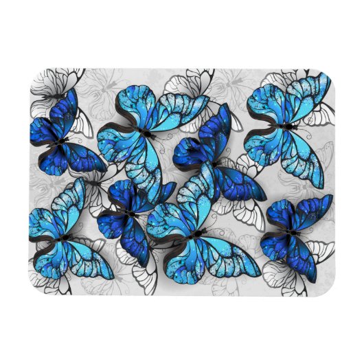 Samenstelling van witte en blauwe vlinders magneet (Horizontaal)