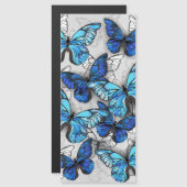 Samenstelling van witte en blauwe vlinders magnetische uitnodiging (Voorkant / Achterkant)