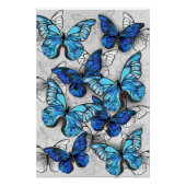 Samenstelling van witte en blauwe vlinders perfect poster (Voorkant)