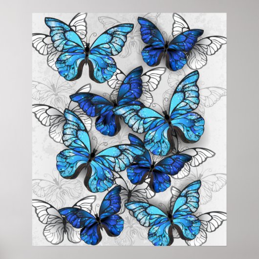 Samenstelling van witte en blauwe vlinders poster (Voorkant)