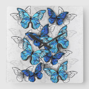 Samenstelling van witte en blauwe vlinders vierkante klok