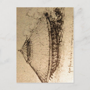 Samenvattende beschrijving Leonardo da Vinci, ontw Briefkaart