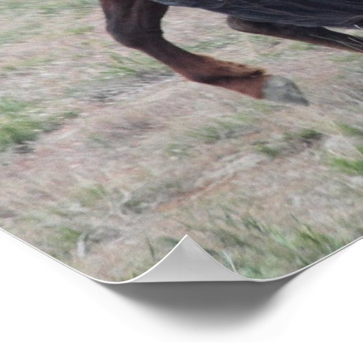 Samenwerken Poster (Hoek)