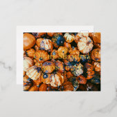 Samhain Foil Carte Postale Gaeilge Irish Celtic Pa (Recto/Verso)