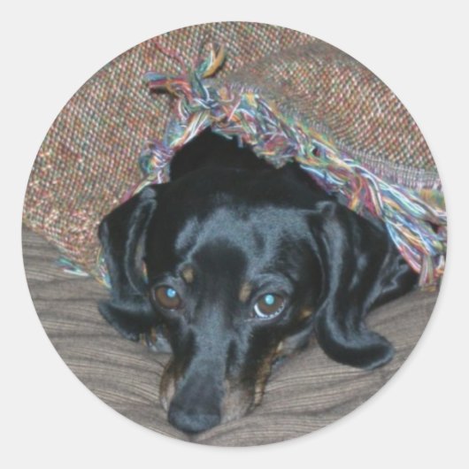 Sami onder weer ronde sticker (Voorkant)