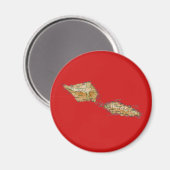 Samoa Map Magnet (Recto/Verso)