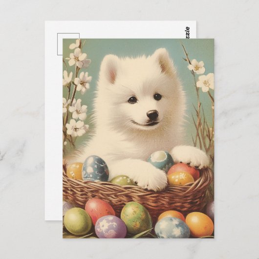 Samojeed Pasen Briefkaart (Voorkant / Achterkant)