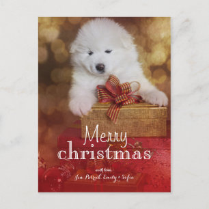 Samojeed puppy hond met kerstcadeaus feestdagenkaart