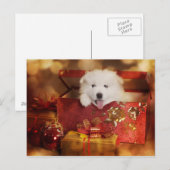 Samojeed puppy in een kerstdoos feestdagenkaart (Voorkant / Achterkant)