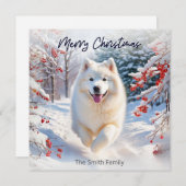 Samoyé Chien En Neige Joyeux Noël Carte (Devant / Derrière)
