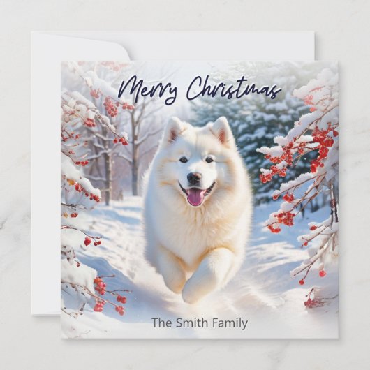 Samoyé Chien En Neige Joyeux Noël Carte (Devant)