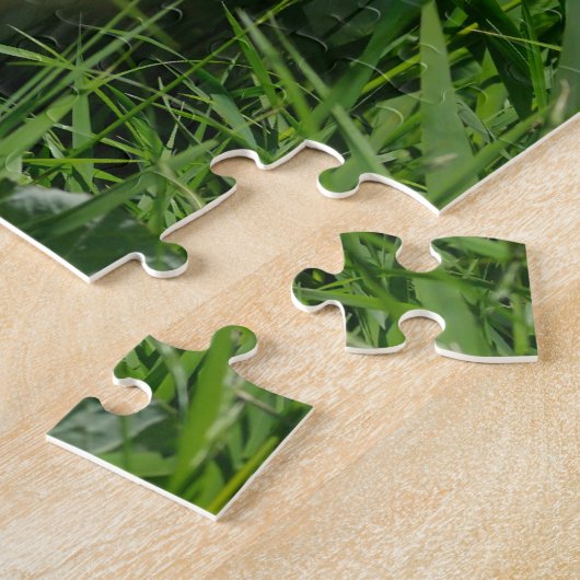 Samoyed dans le puzzle d'herbe (Côté)