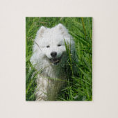 Samoyed dans le puzzle d'herbe (Vertical)
