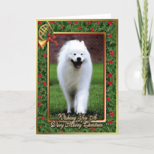 Samoyed Dog Blank kerstkaart Feestdagen Kaart