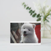 Samoyed Dog Briefkaart (Staand voorkant)