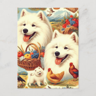  Samoyed Dog Illustratie Briefkaart