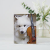 Samoyed Dog met Violin Briefkaart (Staand voorkant)