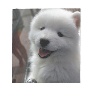 Samoyed Dog Notitieblok