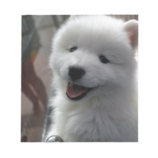 Samoyed Dog Notitieblok (Voorkant)