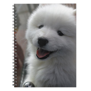 Samoyed Dog Notitieboek