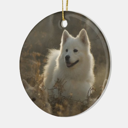Samoyed Dog Ornament (Links)