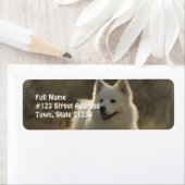 Samoyed Dog Return Address Label (Insitu)