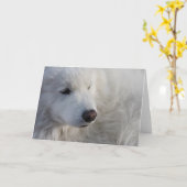 Samoyed Dog-Wenskaart Kaart (Gele Bloem)