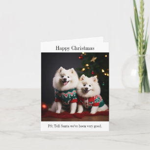 Samoyed Dogs Happy Christmas Kaart