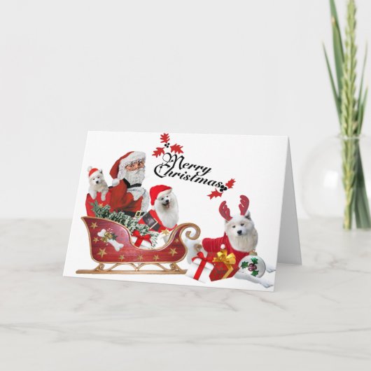 Samoyed et Père Noël dans les cartes Sleigh (Devant)