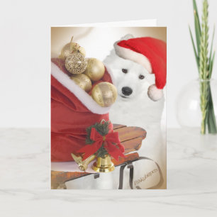 Samoyed Friends Sledding Cartes