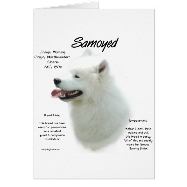 Samoyed Gesloten Ontwerp (Voorkant)