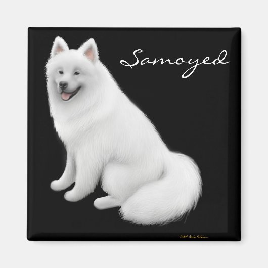 Samoyed hondenmagneet magneet (Voorkant)