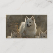 Samoyed Hondenras Visitekaartje (Achterkant)
