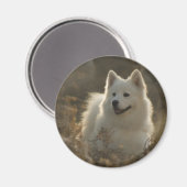 Samoyed Hondenrassen magneet (Voorkant / Achterkant)