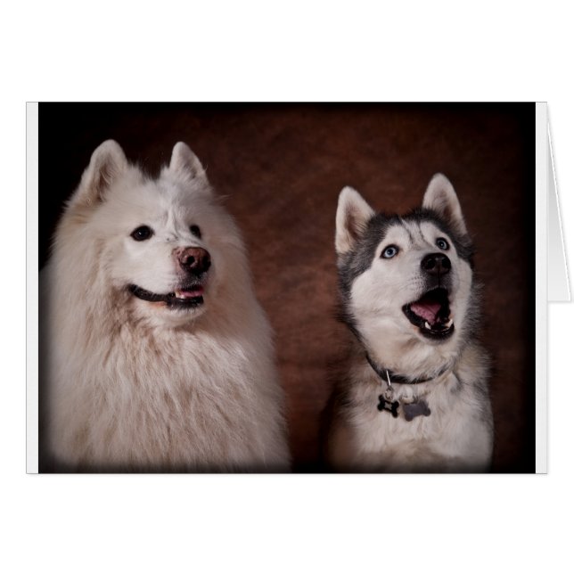 Samoyed & Husky (Voorkant Horizontaal)