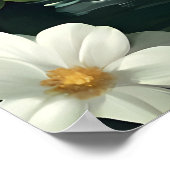 Samoyed In Bathtub Poster, Funny Dog Poster (Coin)