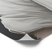 Samoyed In Chefs Hat Poster, Pet Poster, Samoyed Poster (Hoek)