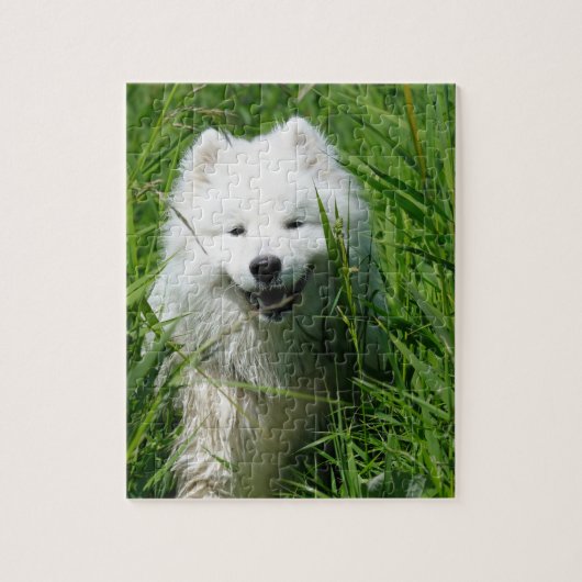 Samoyed in grass Puzzle Legpuzzel (Verticaal)