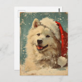 Samoyed kerst briefkaart (Voorkant / Achterkant)