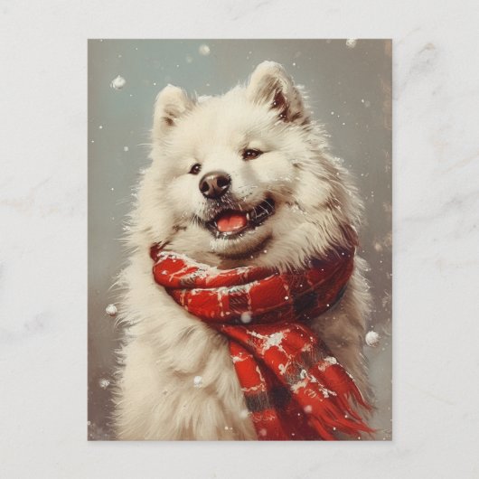 Samoyed Kerstmis Briefkaart (Voorkant)