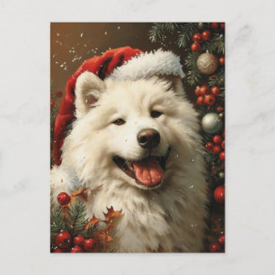 Samoyed Kerstmis Briefkaart