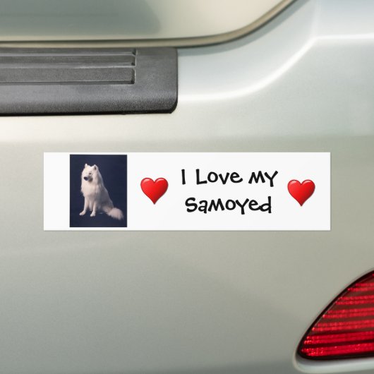 Samoyed Love Bumpersticker (Op auto)