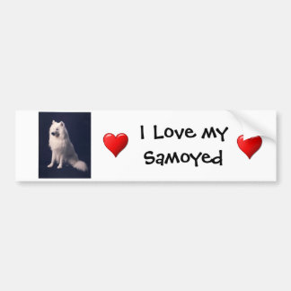 Samoyed Love Bumpersticker
