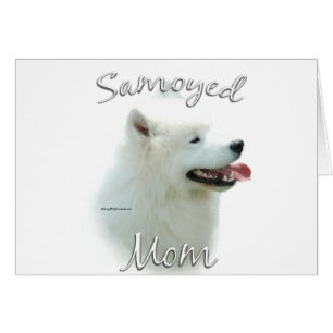 Samoyed Maman 2