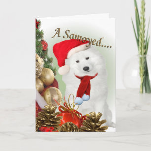 Samoyed Merry Christmas Kaart