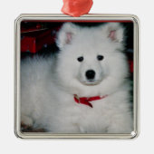 Samoyed Ornament (Voorkant)