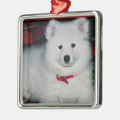 Samoyed Ornament (Links)
